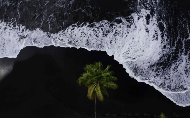 Black sand beach in The Islands of Tahiti © Jim Winter