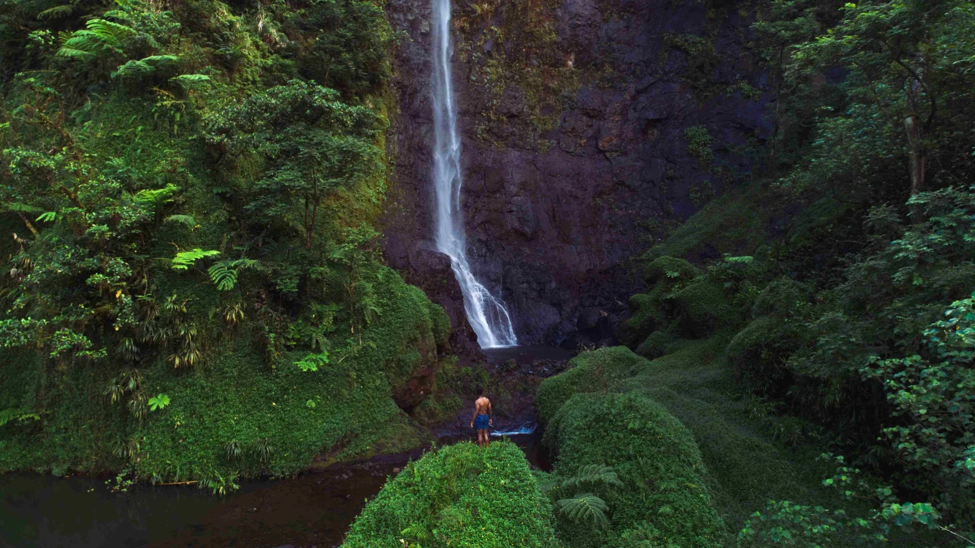 Puraha waterfall in Papenoo © Karl Shakur