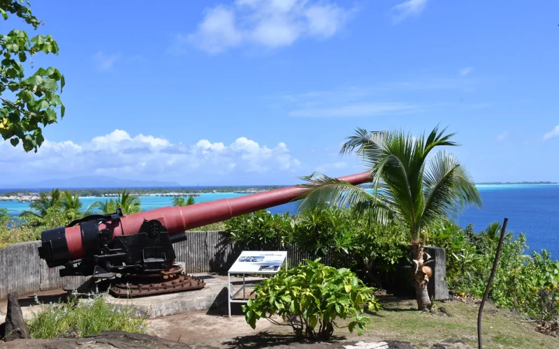 Profile of a military cannon on the haamaire site in bora bora association mémoire polynésienne