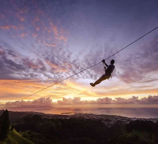 Tree climbing with a view of Papeete