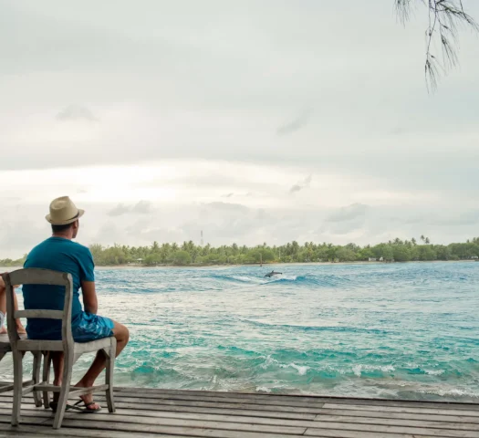 Dolphin watching at Rangiroa © Hélène Havard