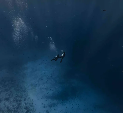 A diving session in The Islands of Tahiti © Alexandre Voyer