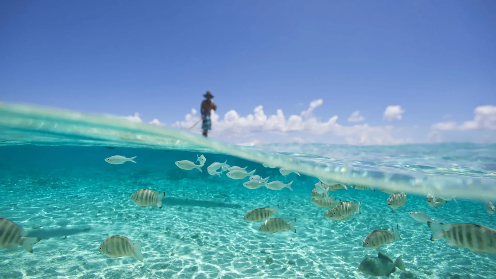 Paddleboarding in the lagoon c Tahiti Tourisme