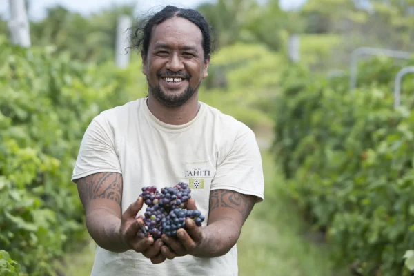 Rangiroa wine is produced from vines grown directly on the island © Grégoire Le Bacon