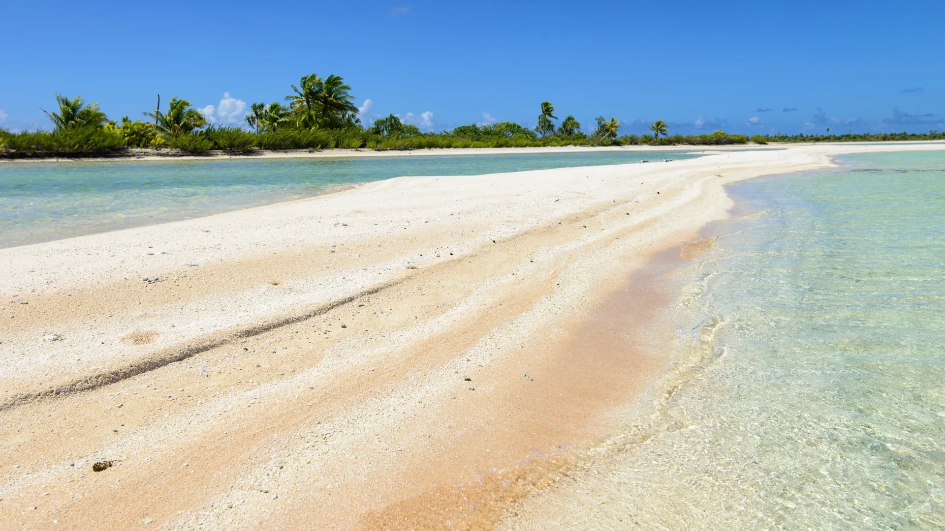 Pink sand beach in Tikehau © Philippe Bacchet