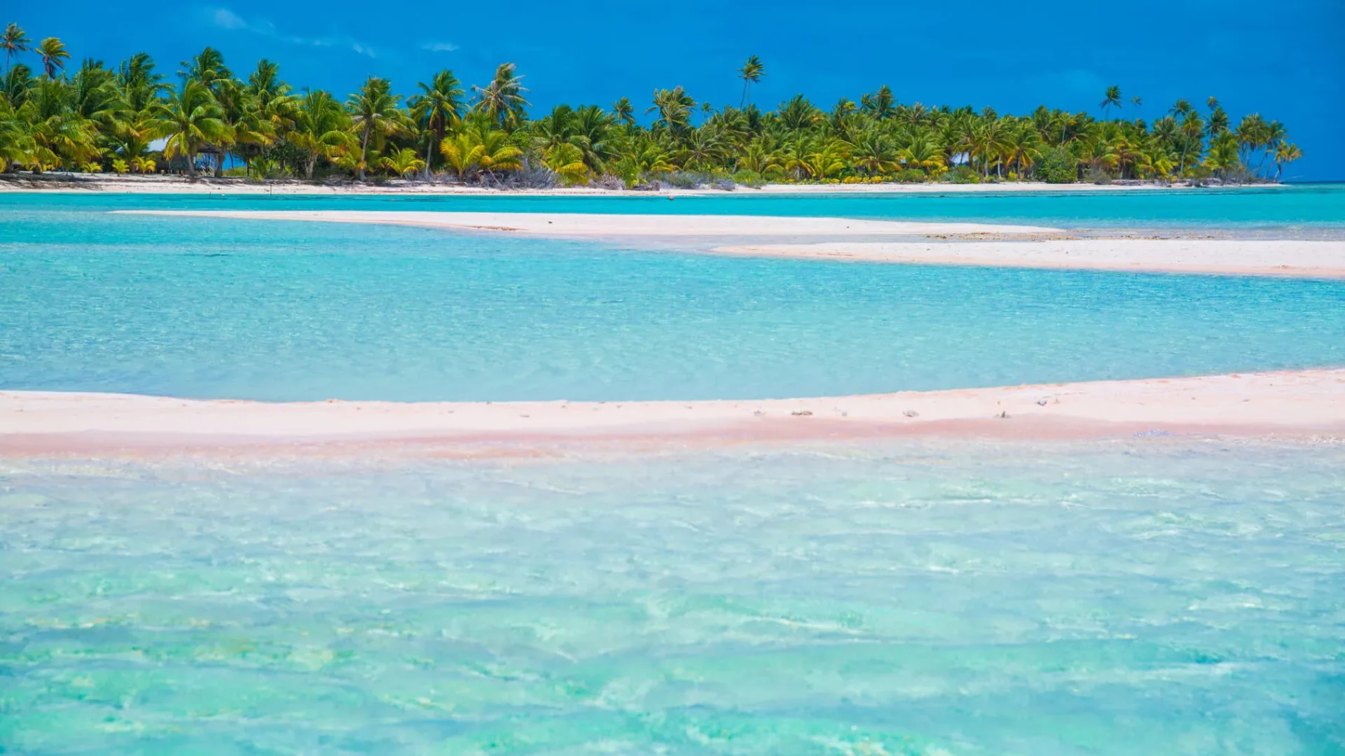 A typical pink sand beach on Tikehau © Lei Tao