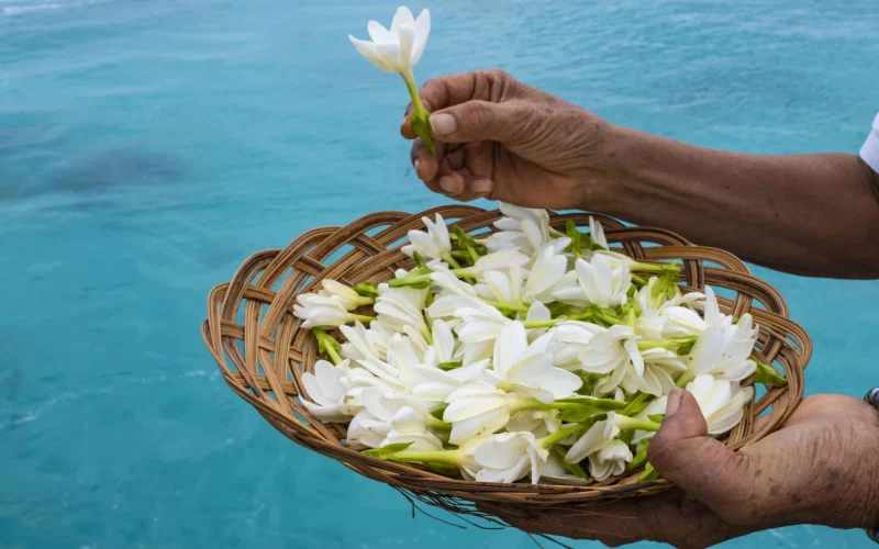 Tiare Tahiti basket © Holger Leue-