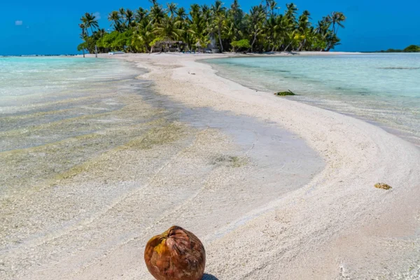 Rangiroa beach paradise © Michael Runkel