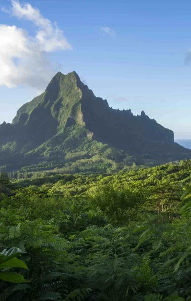 View of the two bays of Moorea from the valley of Opunohu © David Kirkland