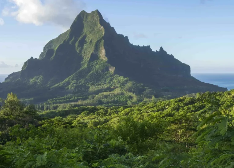 View of the two bays of Moorea from the valley of Opunohu © David Kirkland