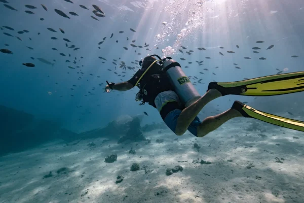 Session plongée avec des bancs de poissons © Mark Fitz