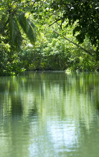 La rivière de Faaroa © Tahiti Tourisme